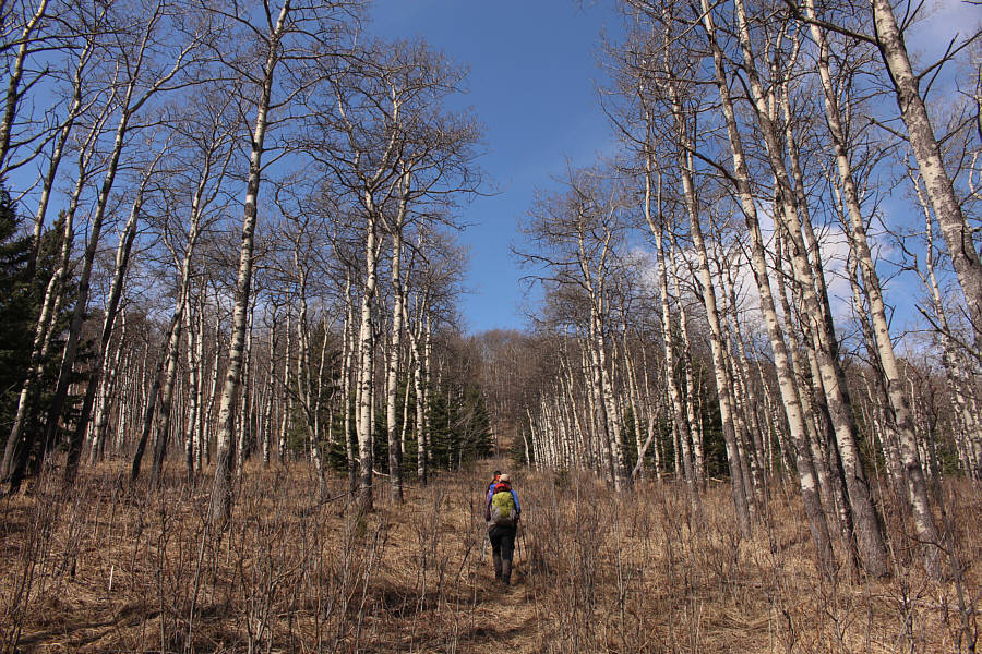 Looks like the Death Star trench run!