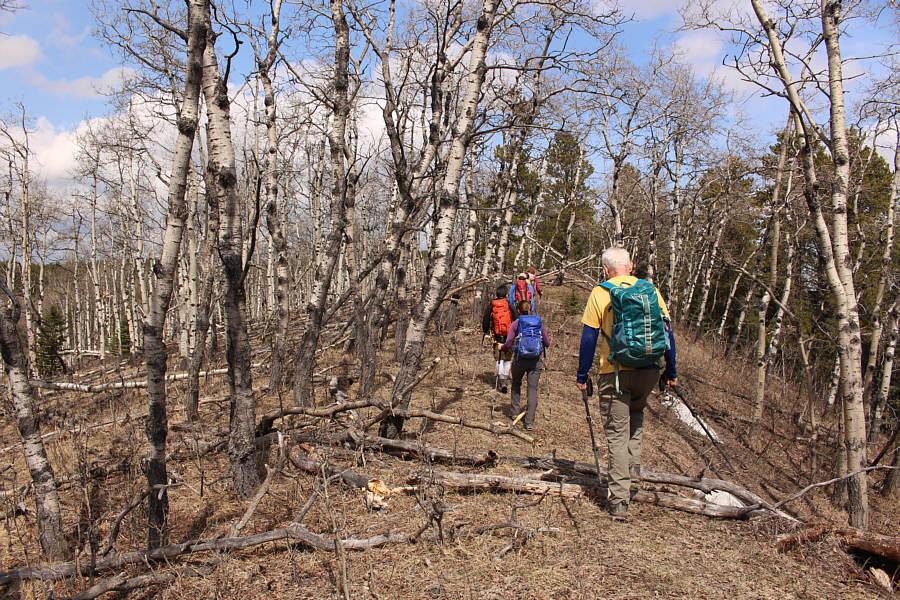 All we need is a dog!