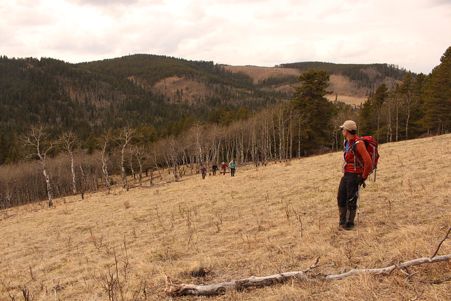 Are we getting tired yet?