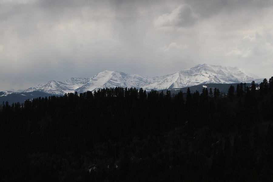 Still looks like winter over there!