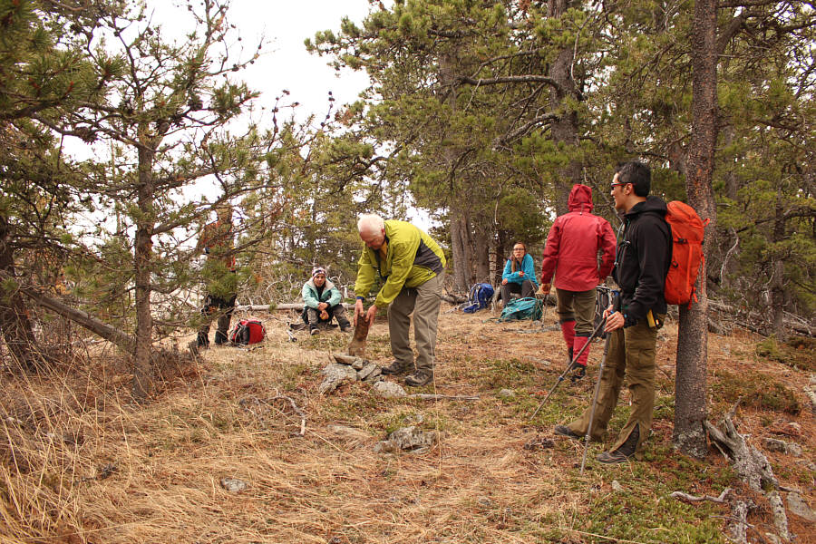 Making the old guy do all the work!