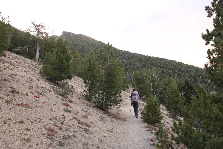 ie. It's neither a scree slog nor a steep grunt!