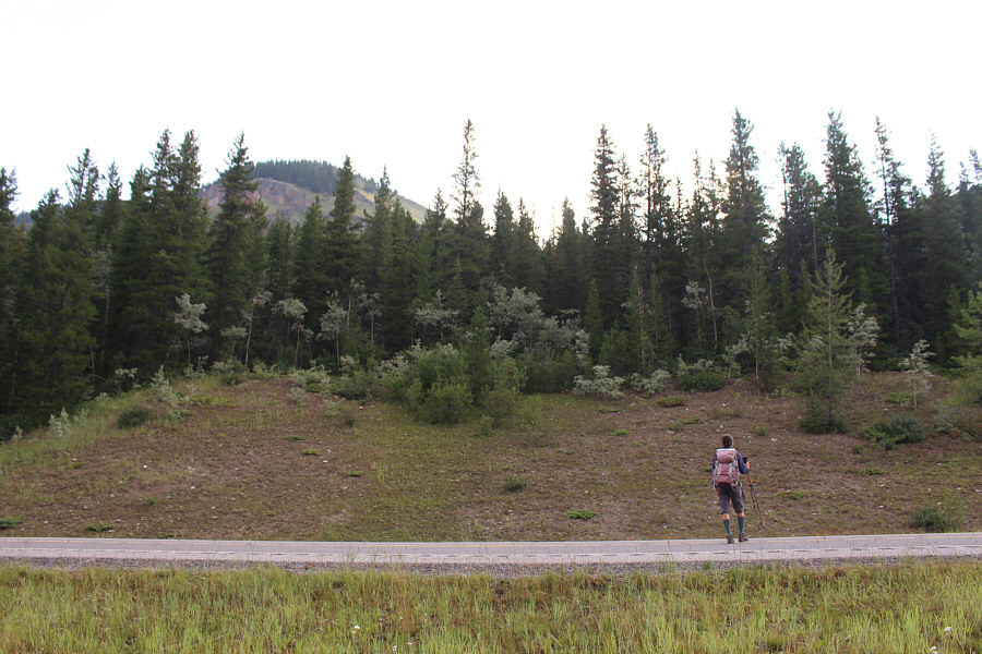 Look both ways before you cross the road!