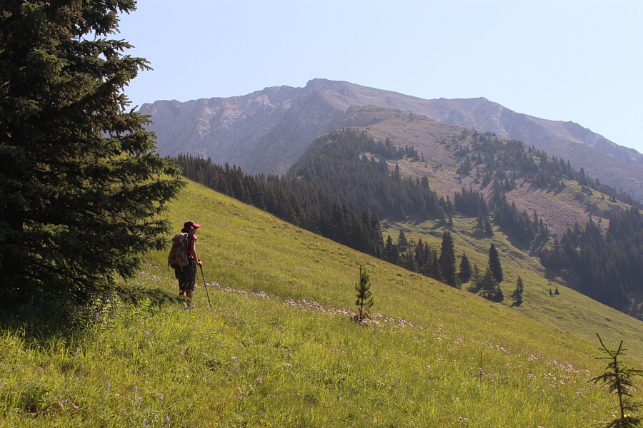 Yikes...still looks far away!