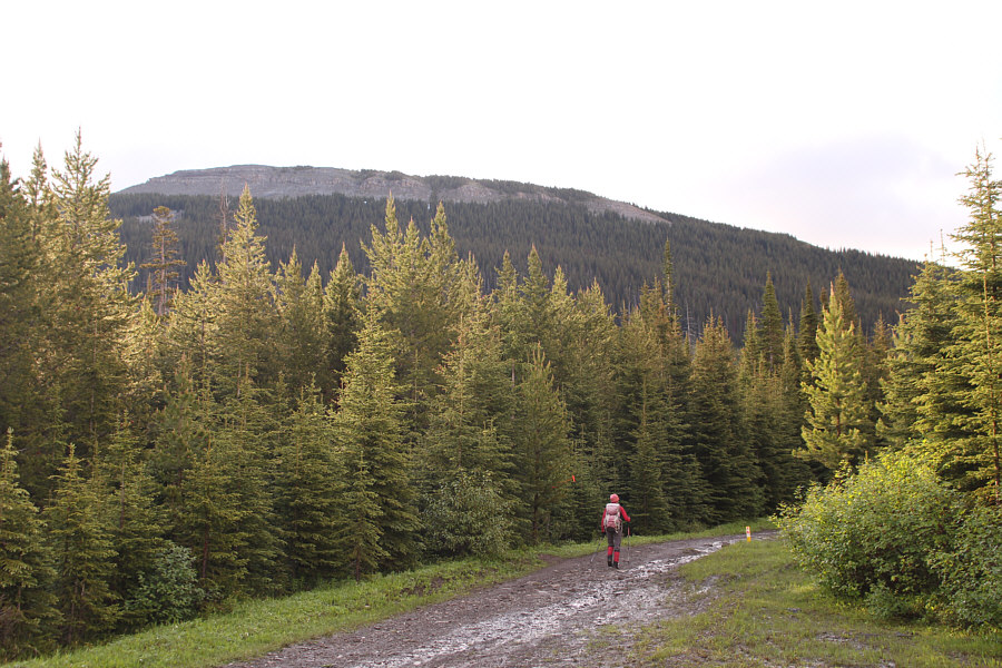 Apparently, we were here just a week before the annual race.