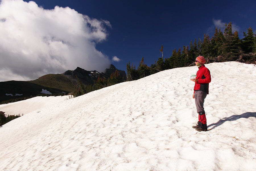 Looks like it would be fun to scramble at least partway up the north ridge of Seven Sisters Mountain.