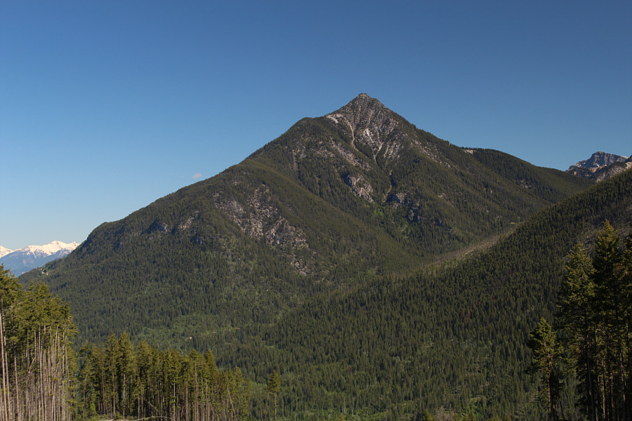 We probably should have climbed this mountain instead!