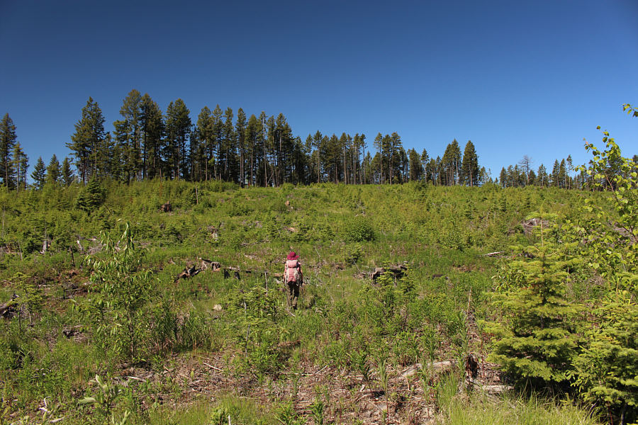 The things we do to tag a useless high point...