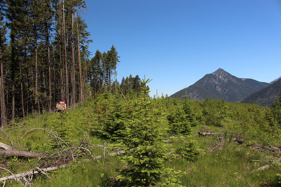 Yeah, don't bother looking for a cairn or survey marker!
