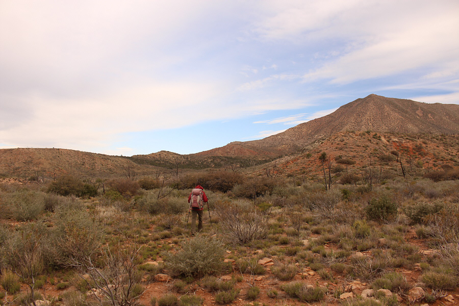 Easy walking here, but the mountain doesn't seem to be getting any closer...