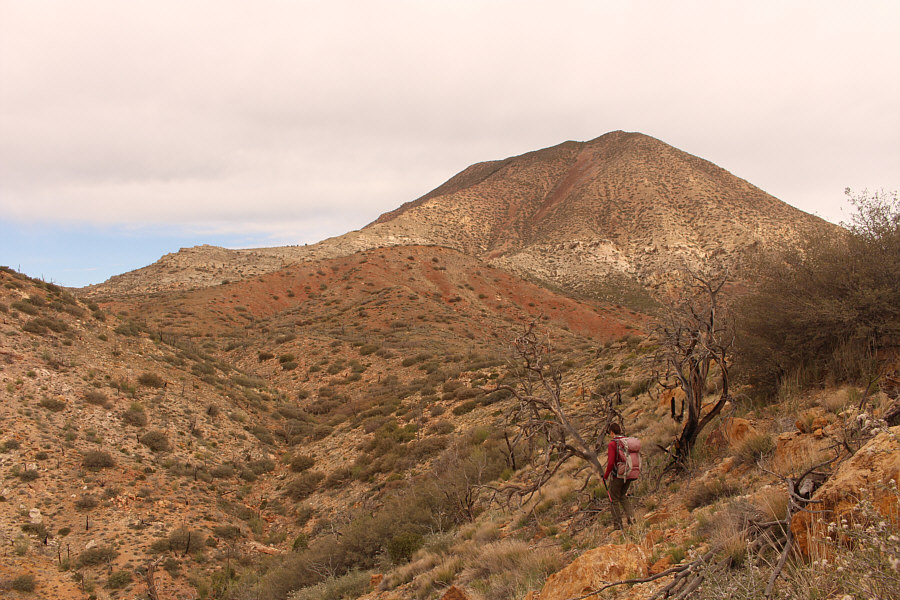 Lotsa ups and downs!