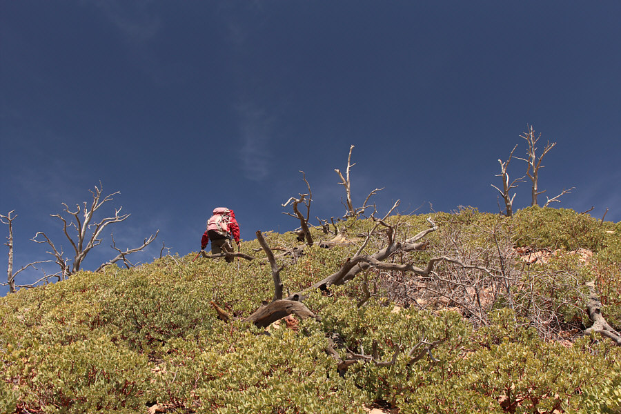 Still not bad compared to what would come later...