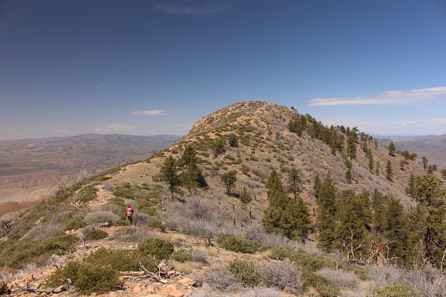 Easy finish...thank goodness!