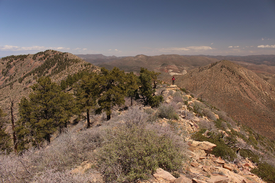 Jackson Peak looks rather innocuous from here...