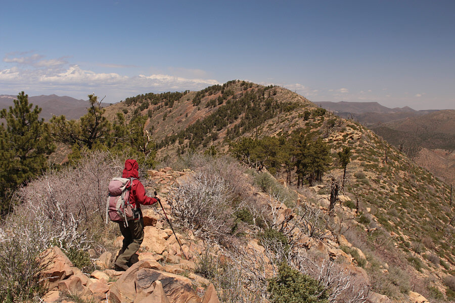 Someone left a wooden roped ladder here for some strange reason!