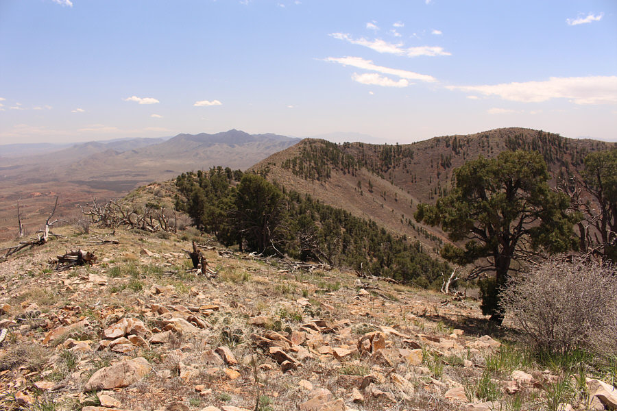 We've come a long way, baby!