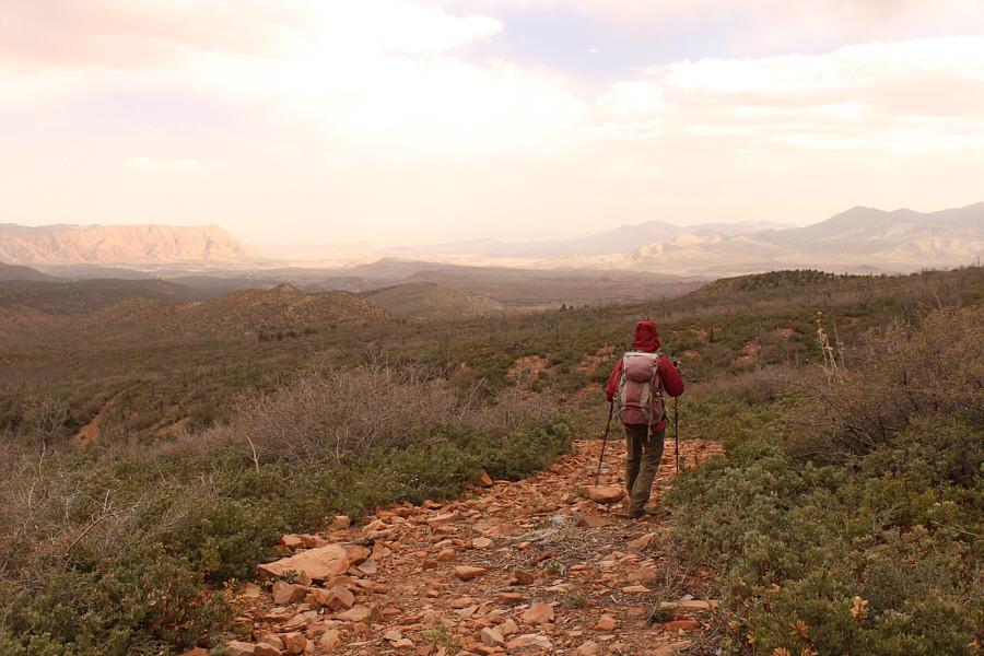 Time to turn on the cruise control!