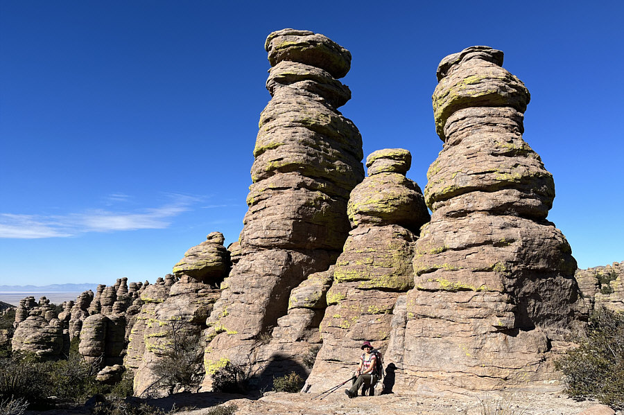 Kinda reminds me of a young family--papa, child, and mama!