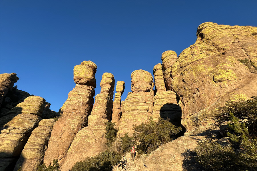 This truly was the highlight of the day.