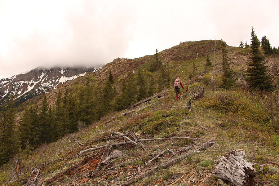 Did I mention how great it is?