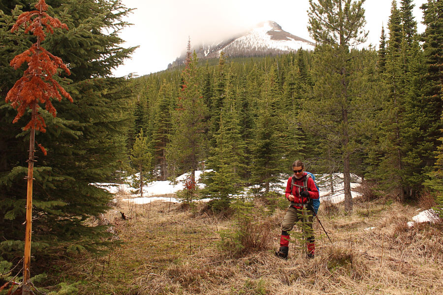 My route-finding skills suck!