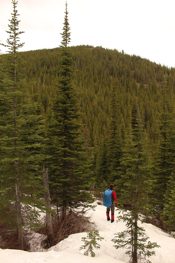 How the heck did we end up here??