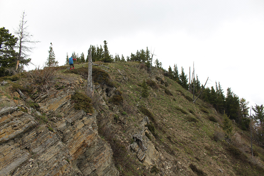 Great Little Ridge 2.0!