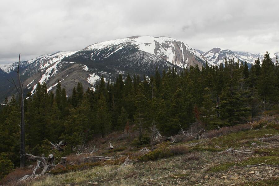 Maybe we'll attempt this one later this year...