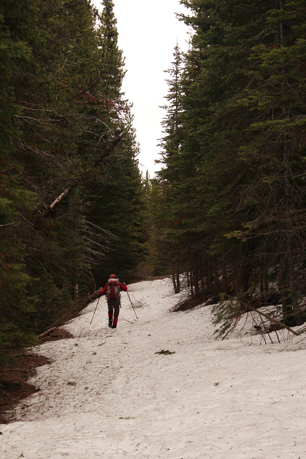 Still looks skiable!