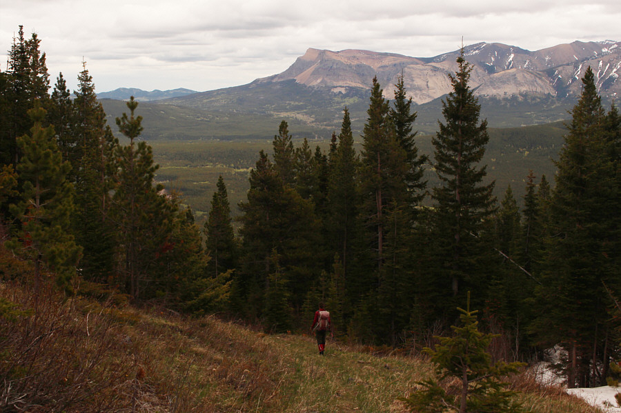 This looks very familiar...