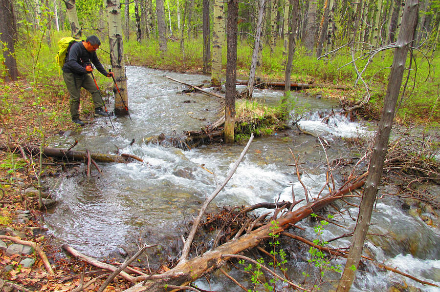 Maybe we should have brought a canoe...