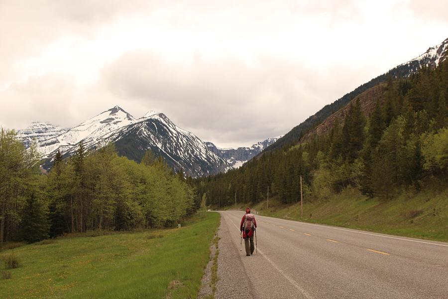 Watch out for cars zooming by!