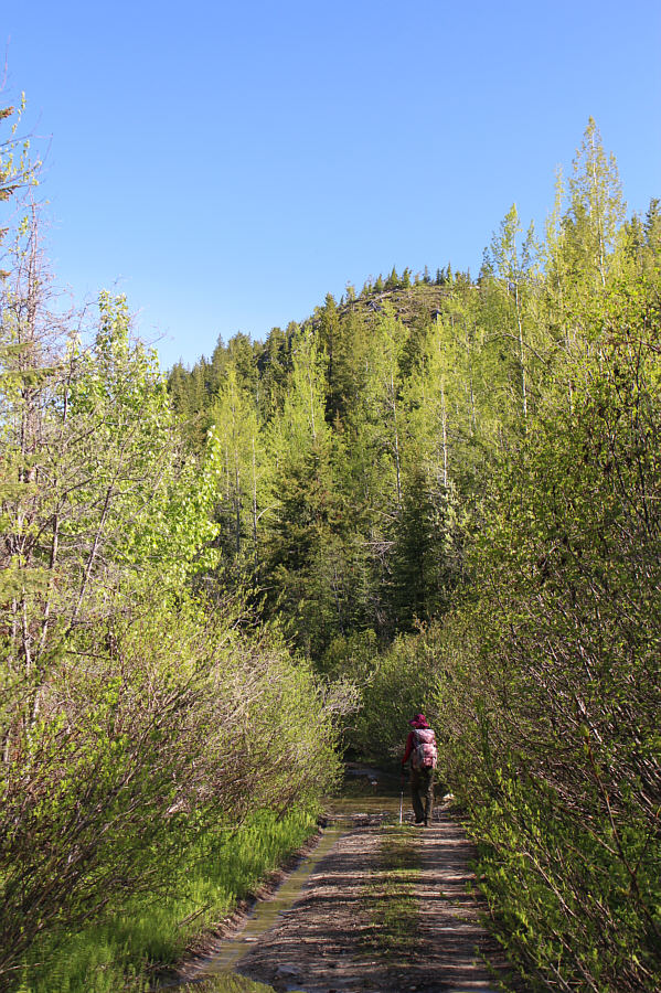 We saw a truck nearly get stuck trying to drive through the mud hole.