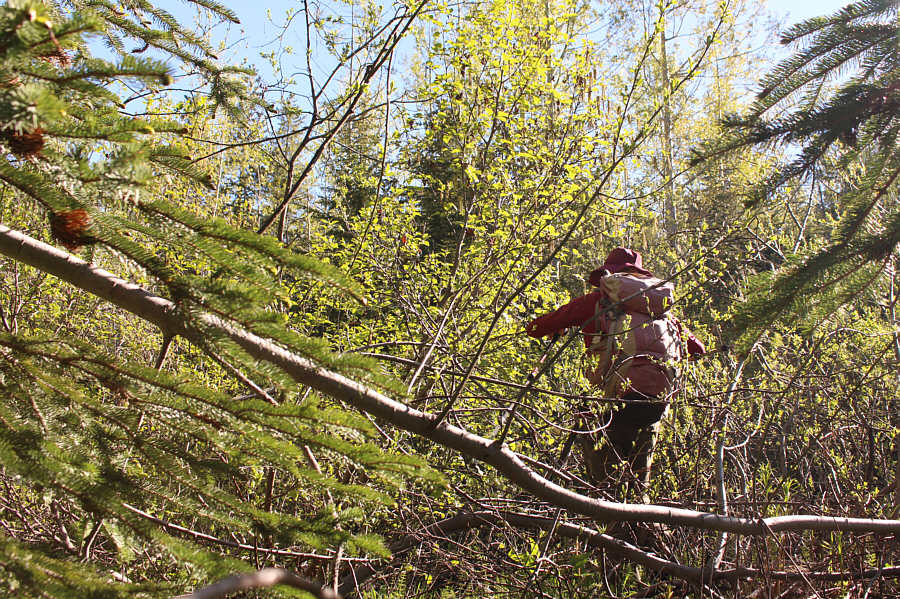 I guess we wouldn't want this hike to be TOO easy!