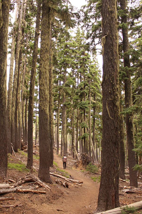 Some more quality time for meditating on your life choices!