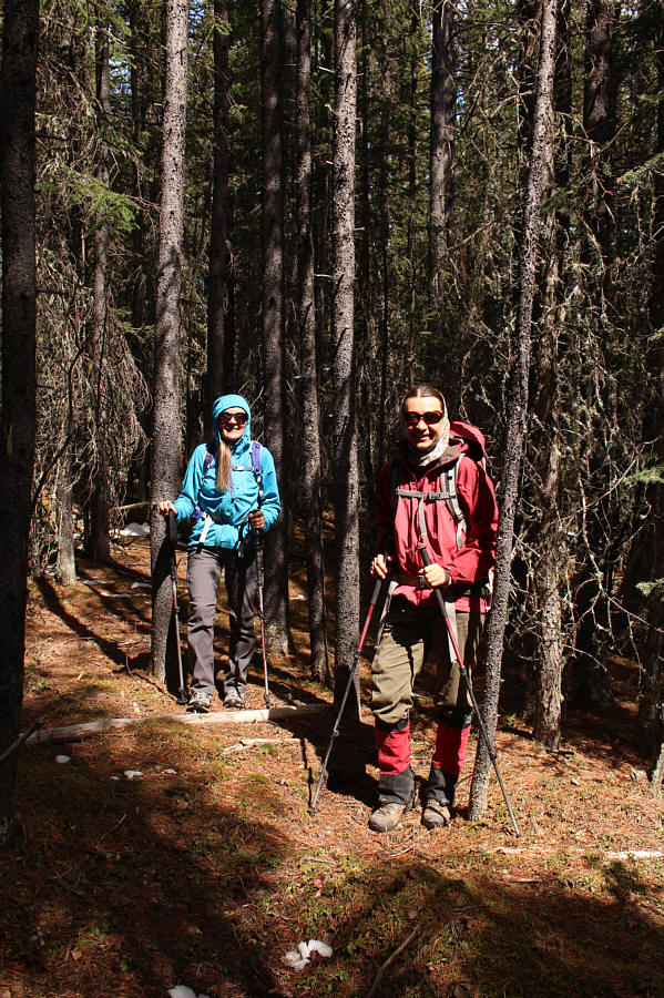 Oh well, what's a hike without a little bushwhacking? Fun?