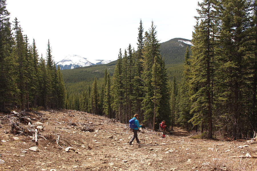 This might be worth skiing in winter...