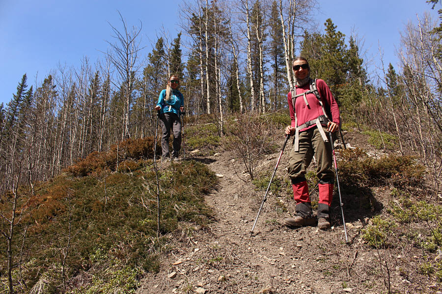 This is not the most direct route to the falls!