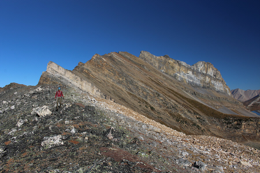 Everything looks so clear today!