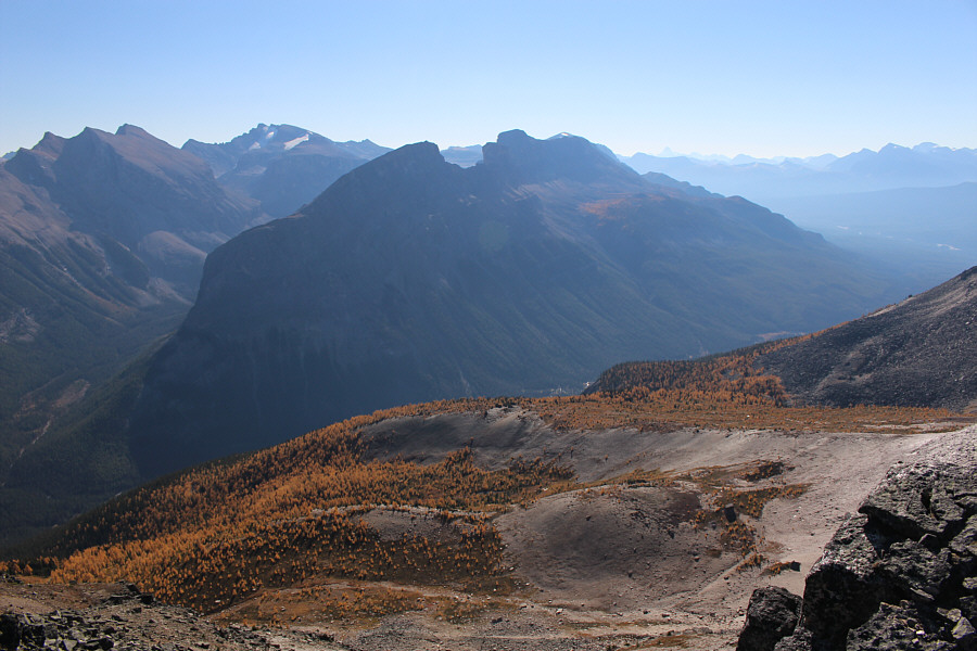 Here's another area with larches that probably seldom sees visitors...