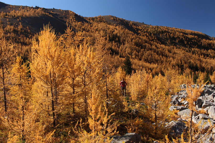 Unbelievably, we saw only one couple and their dog on our way out the valley!