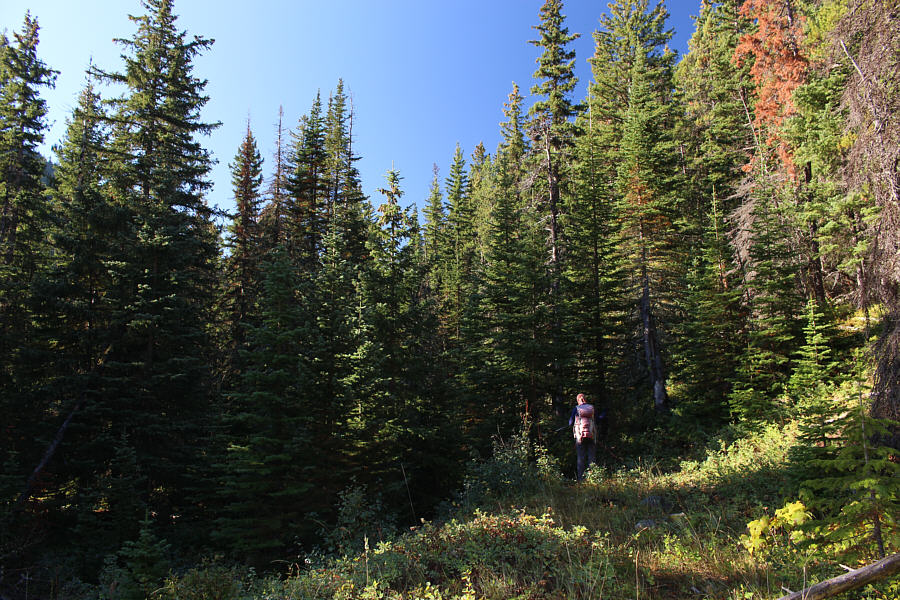 This doesn't exactly look promising...