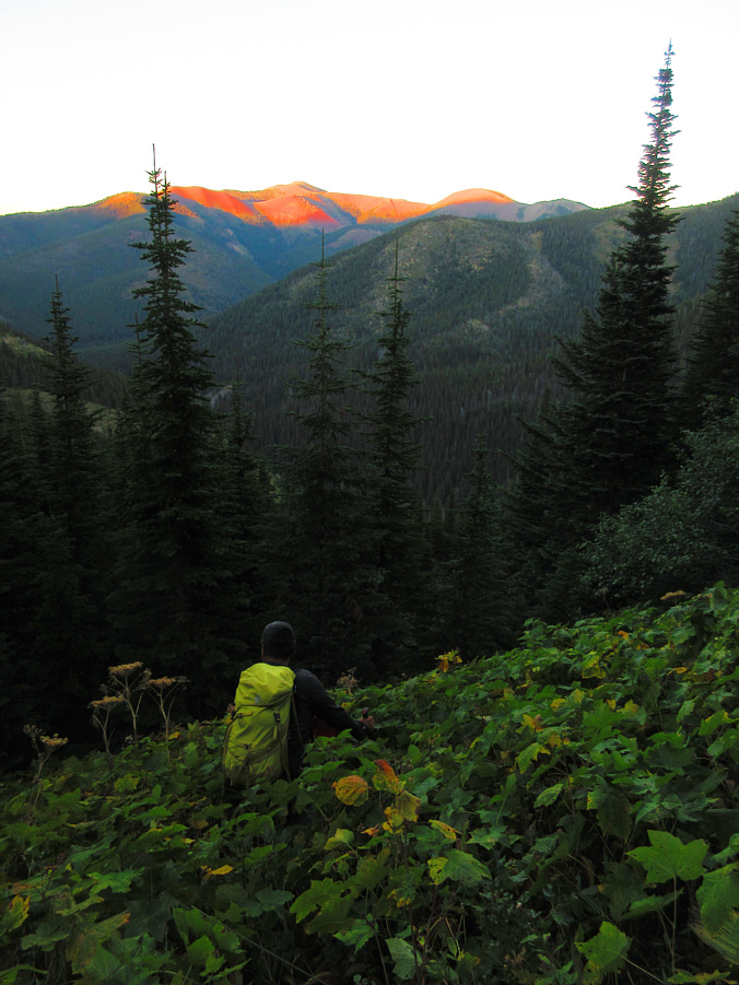 Brings back lotsa horrifying memories of late-day bushwhacks!