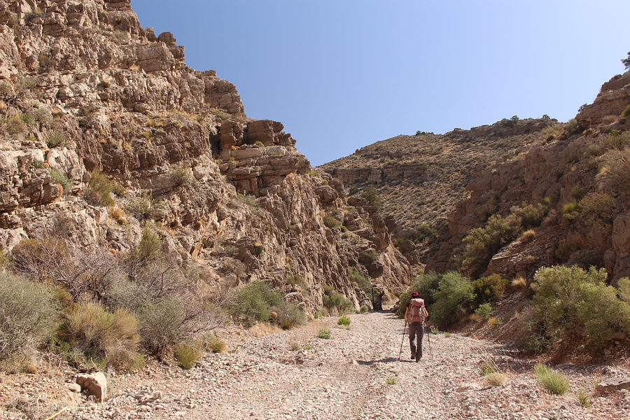 Not sure if monster trucks could make it through here...