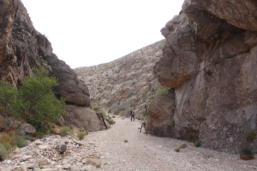 On the home stretch.