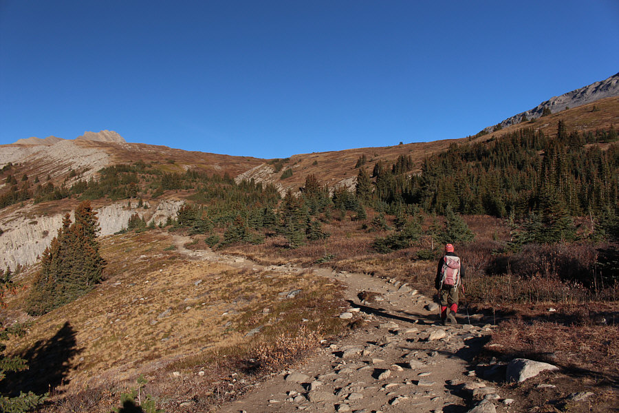 It might be nice to come here for a springtime ski...