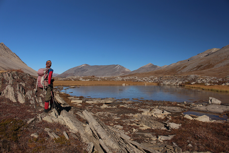 We should have brought ice skates!