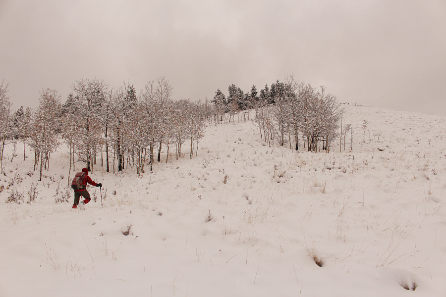 All of a sudden, summer transitioned into winter!