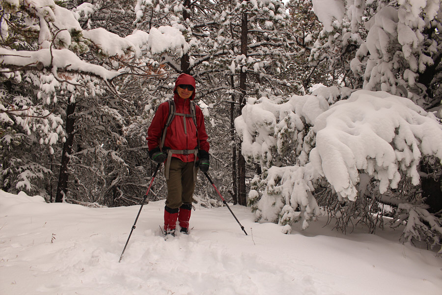 And there was much rejoicing!