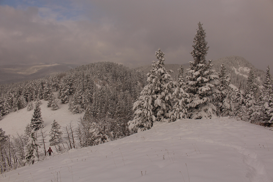 Trust me, you should just turn around here and go home!